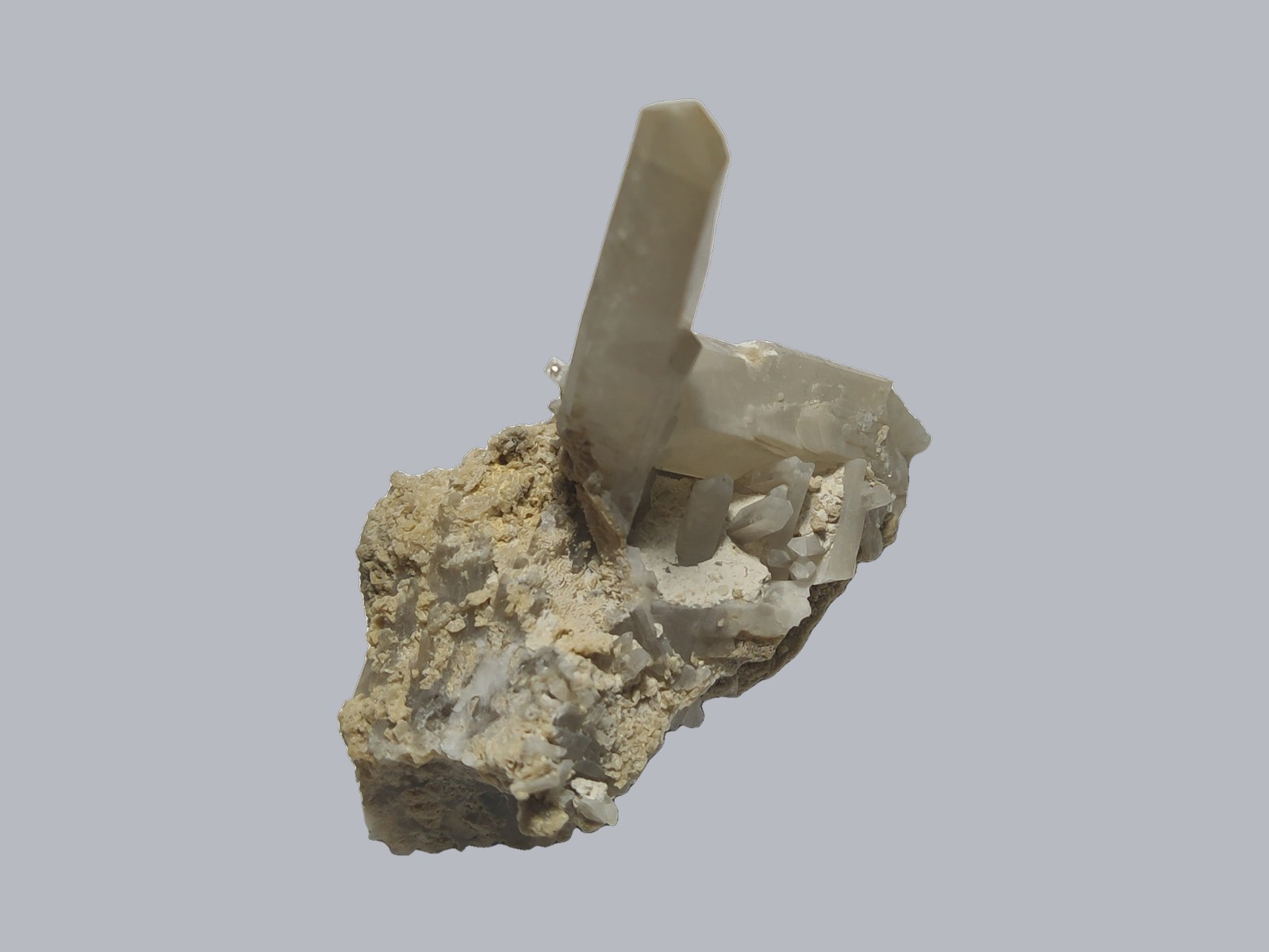 Celestine--Alicante, Valencian Community, Spain